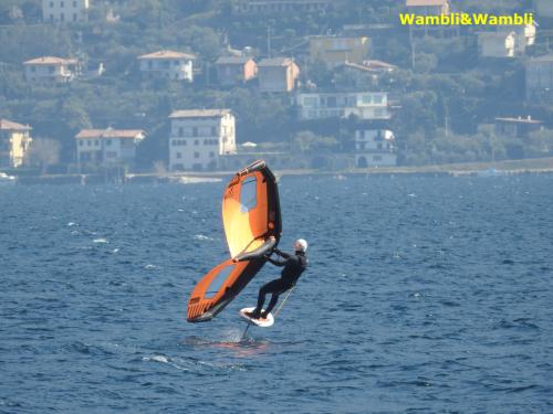 DSCN0537