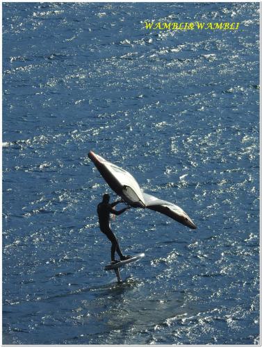 Image00035