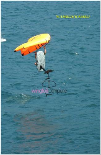 Image00006 (1) (1) (1)